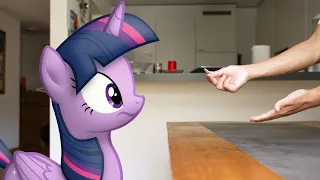 Man versus Ponies 6 (MLP in real life)