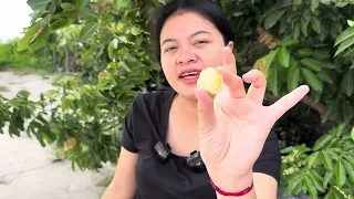 PANEN BUAH DAN LARISIN DAGANGAN UMKM