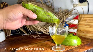 HACIENDO ACEITE DE AGUACATE JAMAS PENSE QUE ERA TAN FACIL HACERLO