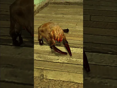EL TERRIBLE SECRETO de los HEADCRAB de Half-Life 2