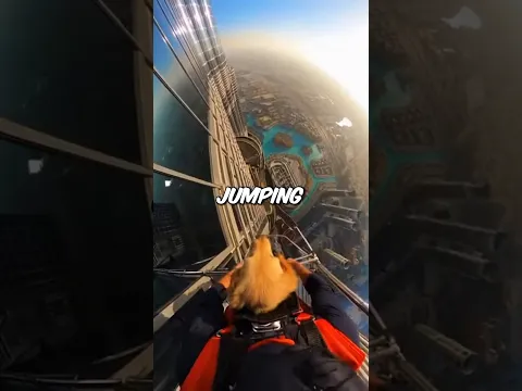 Saving A Puppy From The Top Of The Burj Khalifa 🇦🇪🐕