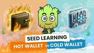 Hot Wallet vs Cold Wallet: Which is better? | SEED Learning #3