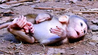 Oh no 🙈 Don’t put bb alone!