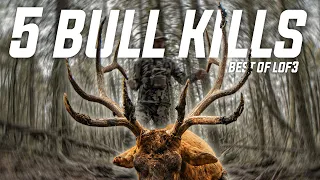 Best of Land of The Free 3! (5 BULL KILLS)