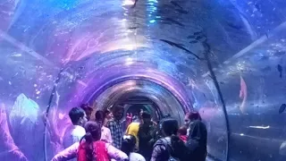 જલપરી સો 😍😜