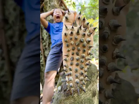 Satisfying Flip Flop Hacks for Survival in the Forest