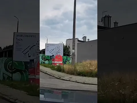 zagubiony pancio na skrzyżowaniu