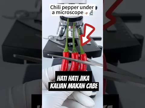 Apa Itu Didalam Cabe 😱😱😱