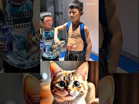 DAY-178 Aura 999+ 💀 #cat #meme #trendingshorts #tiktok #shorts
