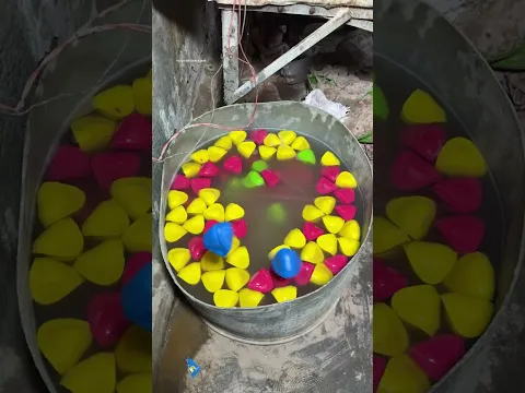 Cricket Rubber Ball