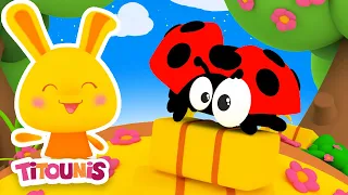 Coccinelle demoiselle +40 Comptines Chansons | Bébé Enfants | Titounis