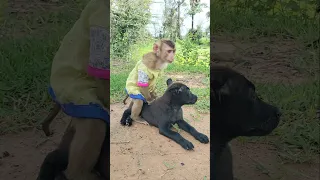 Good Video SokYaa,OG, Pao & Mom Are Famous Around The World #shorts