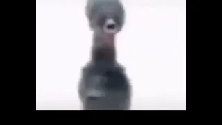дрель крутится под фонк