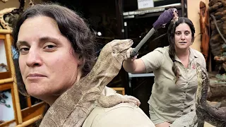 SMARTEST LIZARDS on the Planet🤩