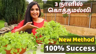 வேகமாக கொத்தமல்லி வளர்க்கும் முறை / Fastest Coriander Growing Method No one told you before #Herbs
