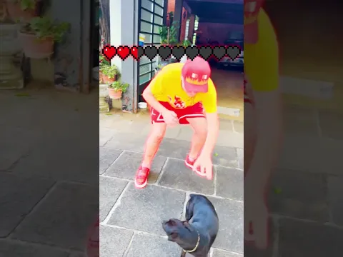 TUDO ME TIRA VIDA