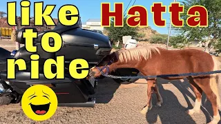 Ride to Hatta \ Yaazar Café \ رايد الى حتا \ قهوة بين الجبال