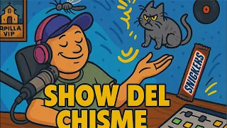 MI GATA SE PELEÓ, La Guerra vs los moscos en mi casa 🦟 y probamos un chocolate exótico 🍫