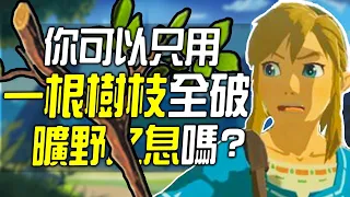 你可以只用一根樹枝全破《曠野之息》嗎?
