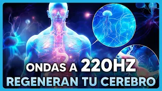 220 Hz - Música Neuro Distrubuída | Restaura tu Cerebro