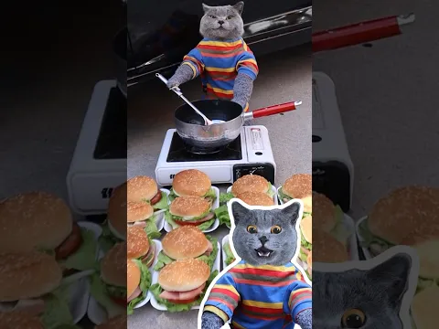 Don't Waste!🚫 Turn Ham Into Delicious Food😊🍔 #funnycat #catmemes #trending