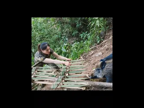 The girl lives alone in the rainforest #survival #survivalshelter #outdoors #survivalskills #camping