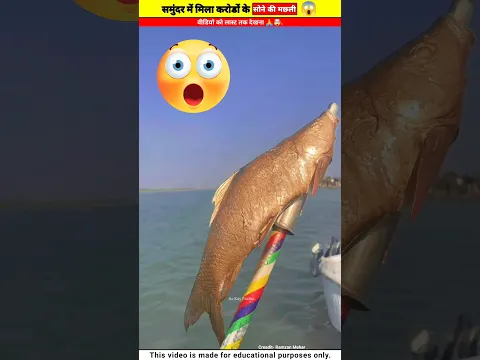 समुंद्र में मिली सोनी की मछली 😱 - mini wood toy-woodworking art skills / hand crafts /#shorts