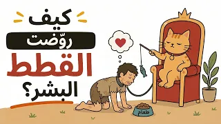 كيف جعلتنا القطط نخدمها منذ آلاف السنين؟