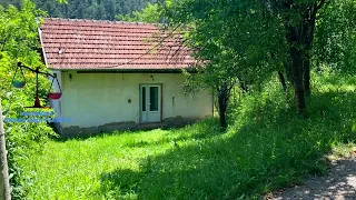 Tezja e kishte Burrin ne Itali