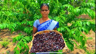 Tamarind Seeds Masala Vadai | Crispy & Spicy South Indian Snack |Village Mom Recipe 