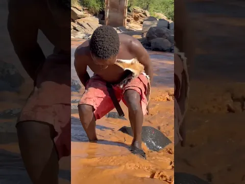 Tribals also wash their clothes with gold water #shortvideo
