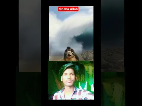 Dog Ne Bchai Insan Ki Jaan Bideo Dekhe Dog ke Liye Laike And Sabscraibe Jarur Kare #allahhuakbar🤲🤲👌😱