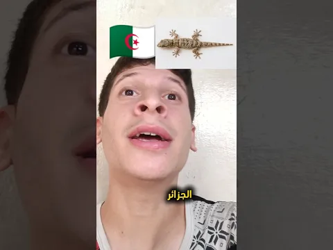 اختلاف للهجات عند العرب😂 ج3