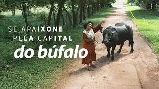 Ilha de Marajó: Um Mergulho na Cultura e Natureza Paraense | Mochileiras