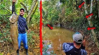INACREDITÁVEL O TAMANHO DESSAS TRAIRÁS, 3 MONSTROS NA PESCARIA