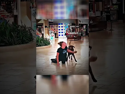 PERROS MACHO VS HEMBRA ☠️
