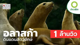 อลาสก้า ดินแดนสัตว์ยักษ์ ค้นหาสัตว์ป่าน่าพิศวงสุดแดนขั้วโลกเหนือ | สารคดี สำรวจโลก