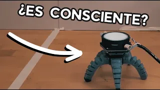Y Ahora los Hongos Controlan Robots