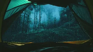 Torrential Rain & THUNDER on a Camping Tent-Lost in the Forest-Sleep to Rain Sounds in the WILD