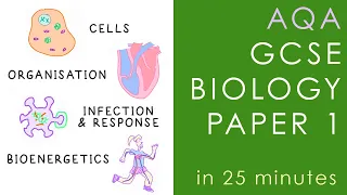 All of AQA BIOLOGY Paper 1 in 25 minutes - GCSE Science Revision