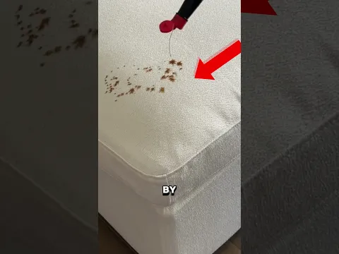 World's best bed! 🛌
