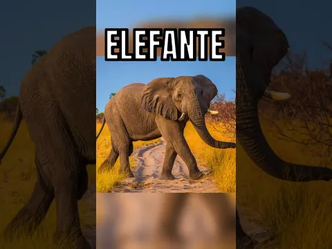 ANIMALES QUE EXPLOTAN CUANDO MUEREN ☠️😨 #youtube #youtubeshorts #shorts