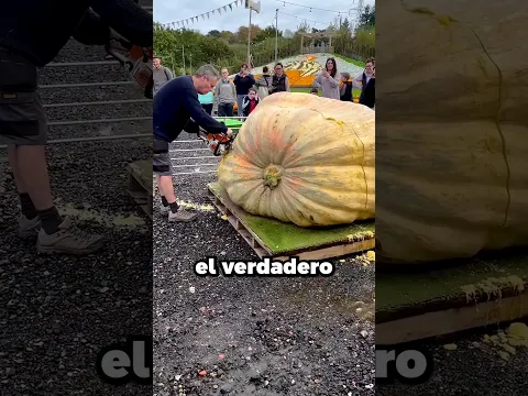 POR ESTO NO CORTAN LAS CALABAZAS