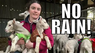 The Catastrophic Reality of Australian Farming.