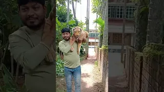 বল্টুর বাবা আজ কি আনল যা দেখে ভয় পাচ্ছে বল্টু🧐🙄😁🤪😭😁🙄........#trending #youtubeshorts