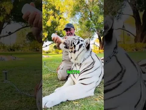Uncle devoted his life to zoo #animals #pets #cute #shorts #animallover