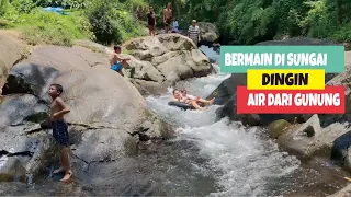 BERMAIN DI SUNGAI ASLI DARI ALIRAN GUNUNG❗