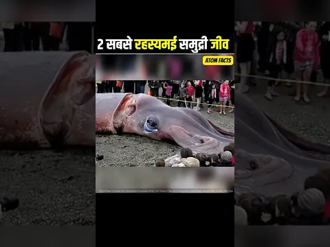 🤯 दुनिया के 2 सबसे रहस्यम समुद्री जीव 🦑 Most mysterious sea animals 🐙 In The World 😱🤯 #shorts