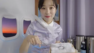 ASMR Flight Attendant Sleep Care Service✈️