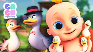 🐇 🦍 🐥 5 majmunët, 5 rosat dhe 3 lepurushët 🐇 🦍 🐥 | Ga Ga Këngë për fëmijë